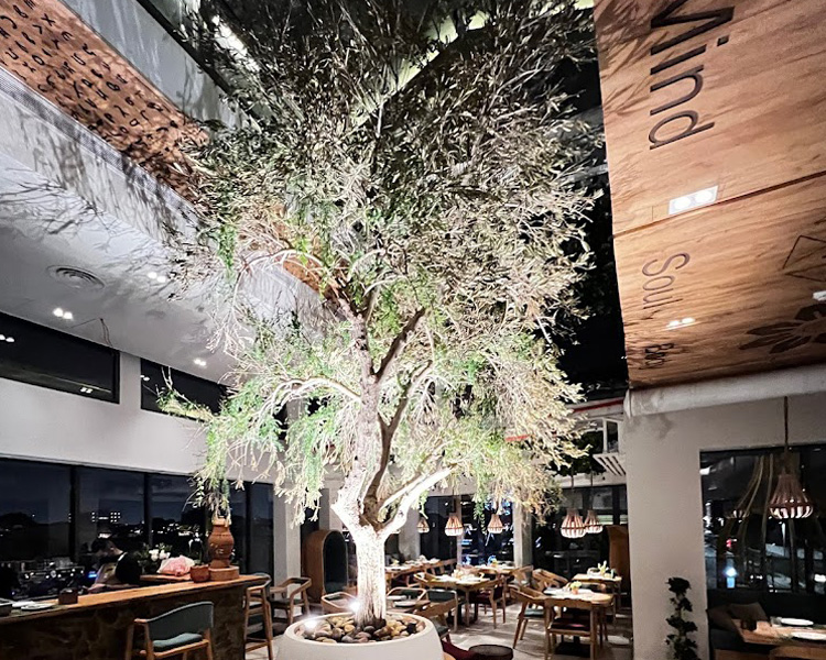 project-slider-image